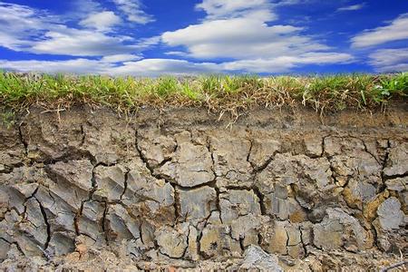 凌锦明：土壤修复行业迎来发展春天