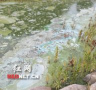 网民诉“水产养殖污染” 隆回县环保局回应