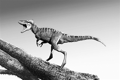 新种小型恐龙填补北美化石纪录空白