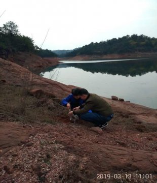 永兴县开展饮用水水源地周边土壤环境质量调查